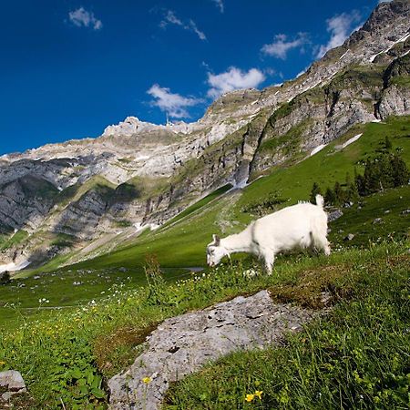 Saentis - Das Hotel Schwagalp Exterior photo